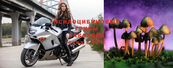 СК Алексеевка