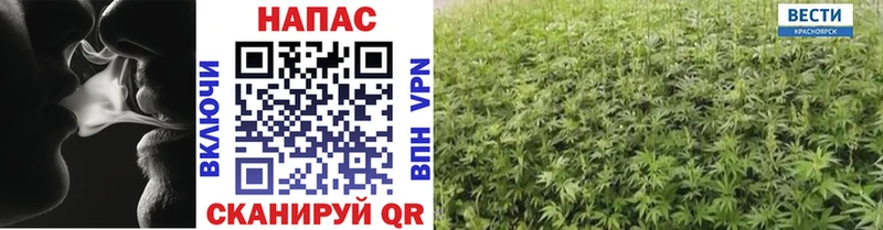 Каннабис индика Кувшиново